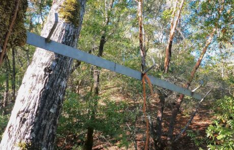 Old Hunting Relics at Cloverdale's Porterfield Creek Trails