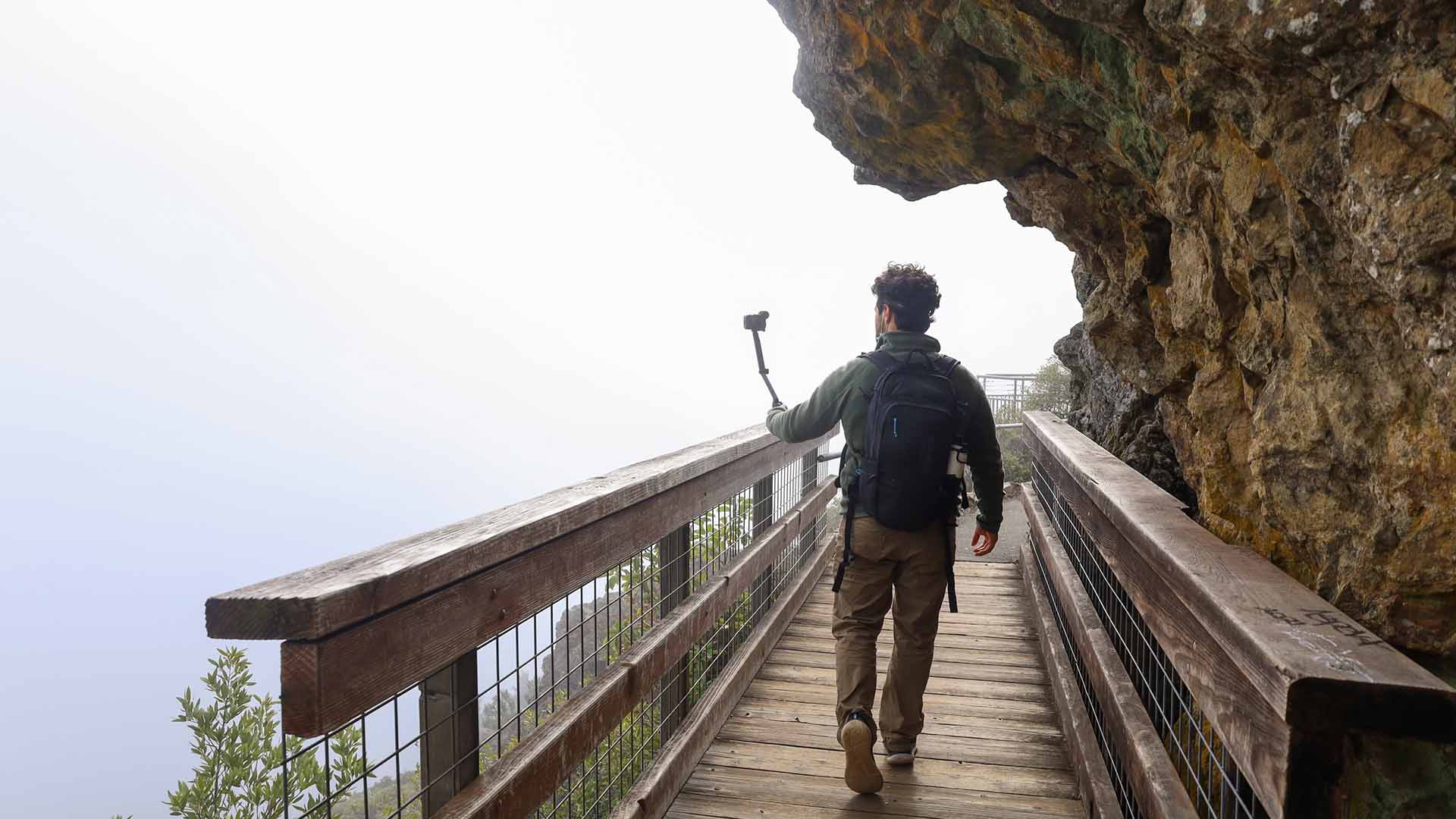 Hiking Mt. Tamalpais Tower