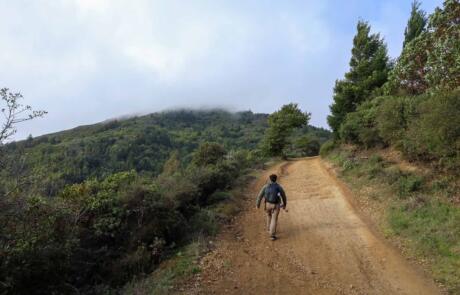 Mt. Tam Peak Gone