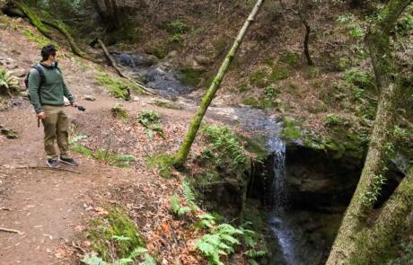 Mt. Tam Waterfall