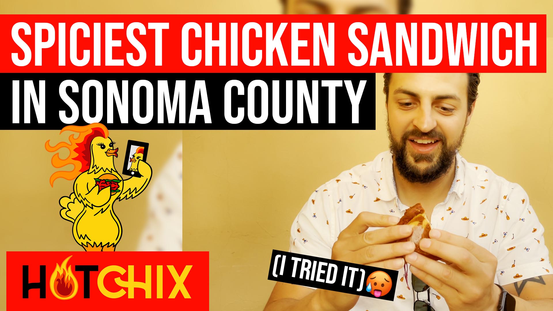 Spiciest Chicken Sandwich in Sonoma County