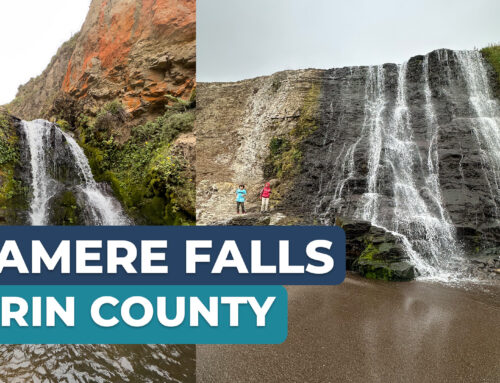 Alamere Falls – Marin County Waterfalls