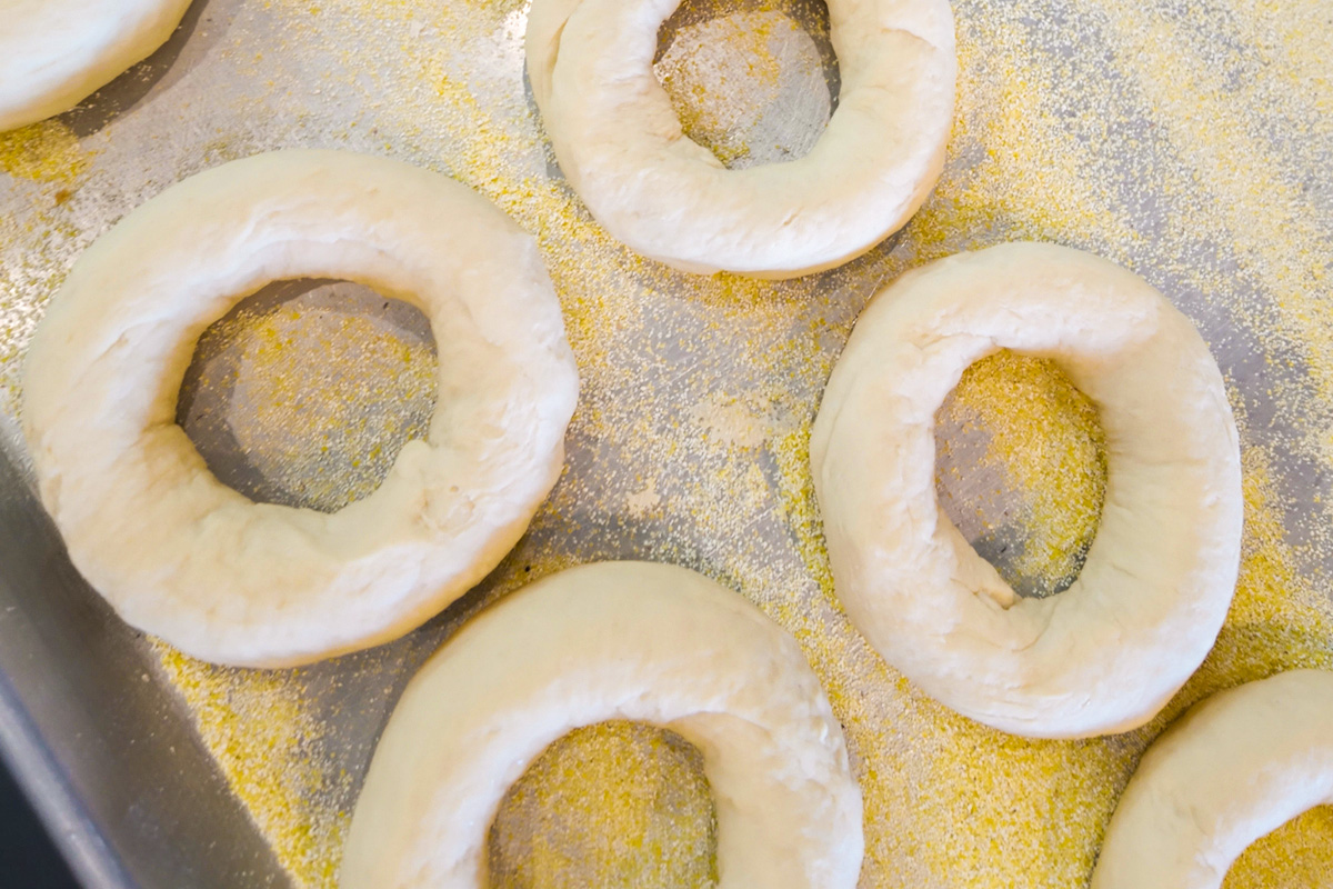 Drewish Deli Bagels Drewish Deli Bagels